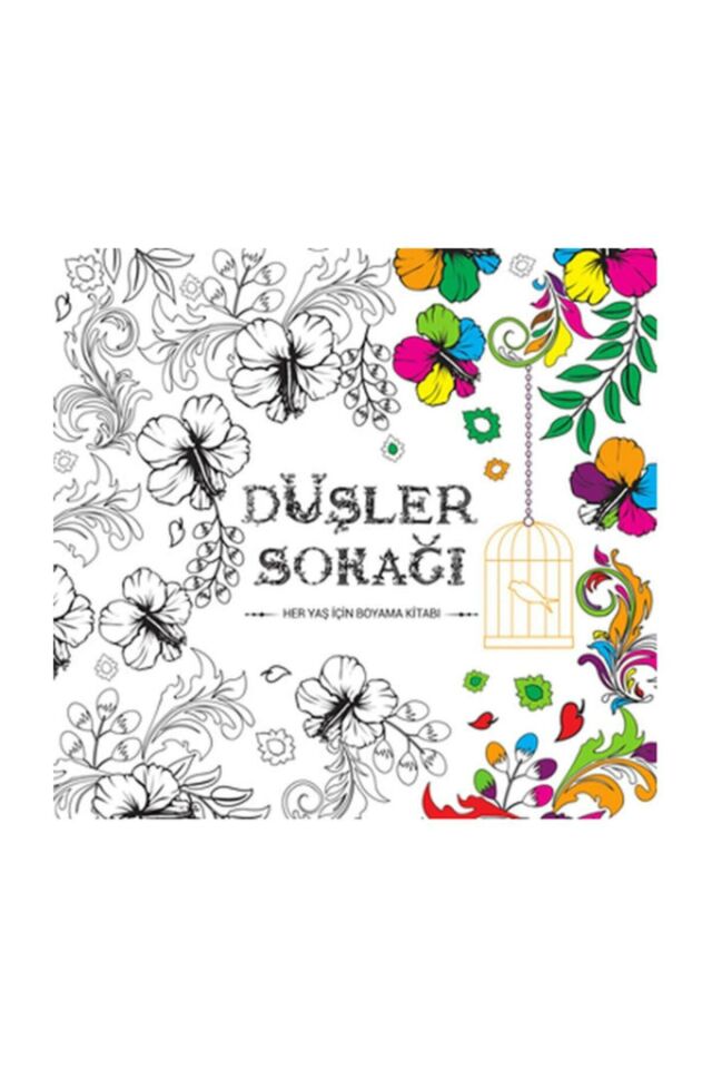 Düşler Sokağı (her Yaş Için Boyama Kitabı)-kolektif