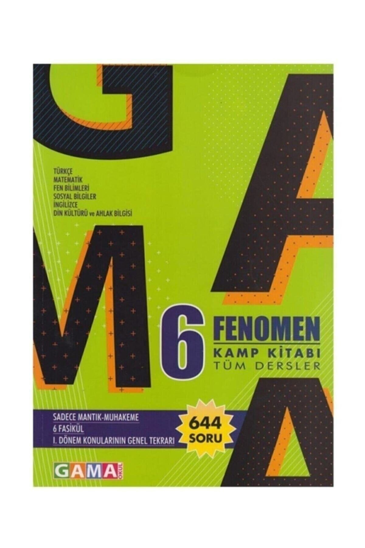 6 Sınıf Fenomen Tüm Dersler Kamp Kitabı 644 Soru