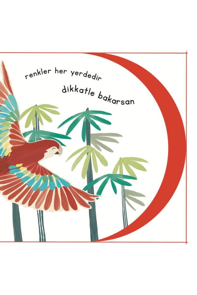 Şerif Hayvanlar Aleminde - Renkler Kitabı (ciltli)