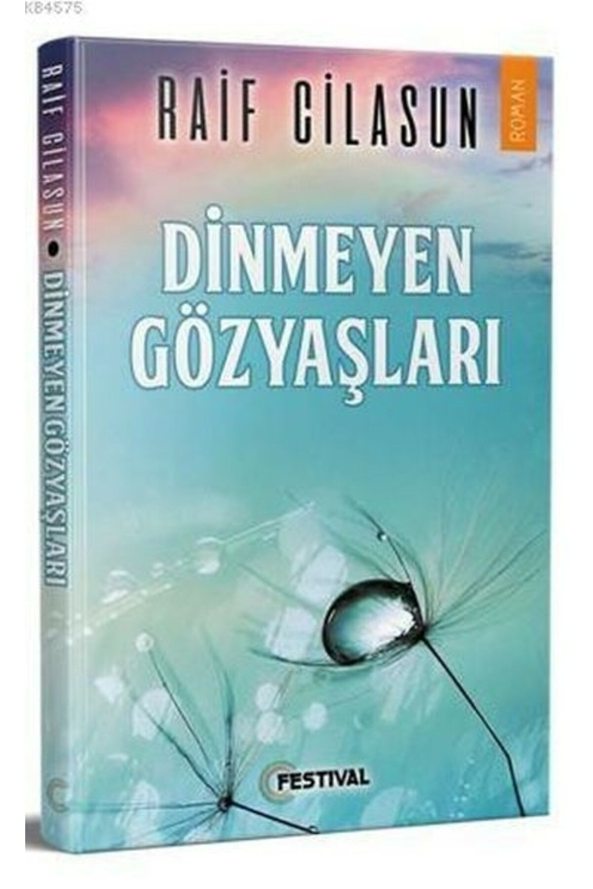 Dinmeyen Gözyaşları Raif Cilasun - Raif Cilasun