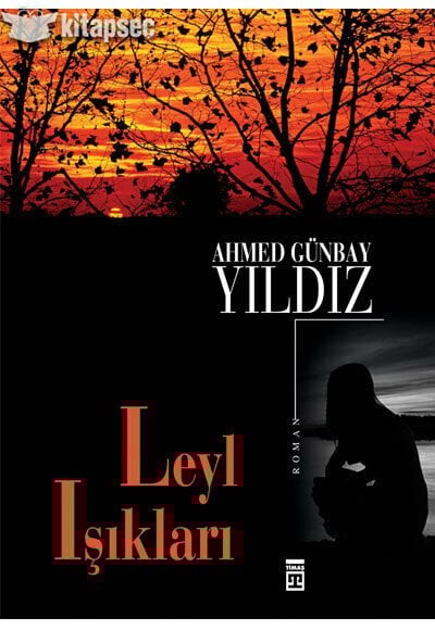 Leyl Işıkları