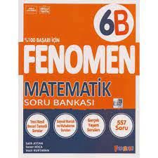 6. Sınıf Matematik Soru Bankası (B) - Fenomen Okul Yayınları