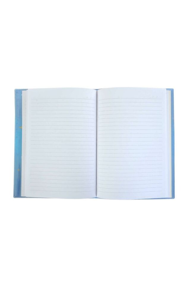 Dolphın Sulu Kapak Uzay Defter
