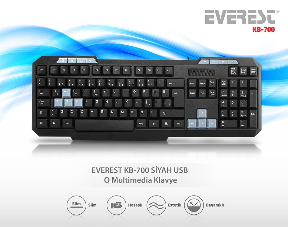 Everest KB-700 Siyah USB Q Multimedia Klavye